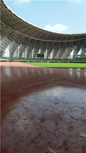 �\(y��n)��(d��ng)��(ch��ng)���w��ƺ5